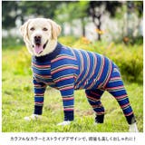 術後服 pmybigwear03 | BACKYARD FAMILY | 詳細画像8 