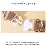 ペット胸当て ハーネス&リードセット pmycat03 | BACKYARD FAMILY | 詳細画像7