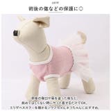 ペット術後服 pmypetwear01 | BACKYARD FAMILY | 詳細画像3