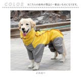 ドックウェア レインコート pmydogwear03 | BACKYARD FAMILY | 詳細画像13 