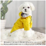 犬 レインコート pmydograin04 | BACKYARD FAMILY | 詳細画像2