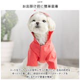 犬 レインコート pmydograin04 | BACKYARD FAMILY | 詳細画像3