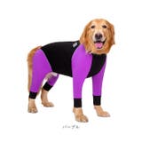 ドッグウェア pmydogwear09 | BACKYARD FAMILY | 詳細画像15 