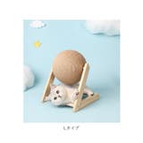 猫 爪とぎ pkcat0613 | BACKYARD FAMILY | 詳細画像11 