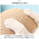 猫 爪とぎ pkcat0613 | BACKYARD FAMILY | 詳細画像5 