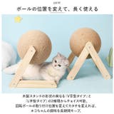 猫 爪とぎ pkcat0613 | BACKYARD FAMILY | 詳細画像8 