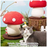 猫 爪とぎ pkcat0614 | BACKYARD FAMILY | 詳細画像2