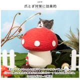猫 爪とぎ pkcat0614 | BACKYARD FAMILY | 詳細画像4