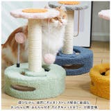 猫 爪とぎ pkkl0614 | BACKYARD FAMILY | 詳細画像2 