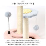 猫 爪とぎ pkkl0614 | BACKYARD FAMILY | 詳細画像8 