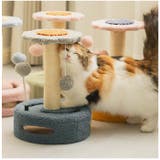 猫 爪とぎ pkkl0614 | BACKYARD FAMILY | 詳細画像10 