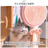 猫 爪とぎ pkxx22024 | BACKYARD FAMILY | 詳細画像4