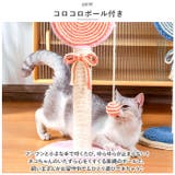 猫 爪とぎ pkxx22024 | BACKYARD FAMILY | 詳細画像7