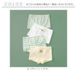 女の子ショーツ4枚セット ykh977 | BACKYARD FAMILY | 詳細画像12