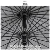 長傘 24本骨 lyum901 | BACKYARD FAMILY | 詳細画像5 