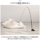 猫じゃらし 吸盤式 kcattoy12 | BACKYARD FAMILY | 詳細画像5 