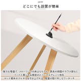猫じゃらし 吸盤式 kcattoy12 | BACKYARD FAMILY | 詳細画像6 