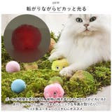 猫 おもちゃ kcattoy17 | BACKYARD FAMILY | 詳細画像5