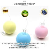 猫 おもちゃ kcattoy18 | BACKYARD FAMILY | 詳細画像4 