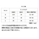 犬 ハーネス リード かわいい blcw818 | BACKYARD FAMILY | 詳細画像9