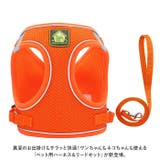 犬 ハーネス pkbl885 | BACKYARD FAMILY | 詳細画像2 