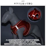 犬 ハーネス pkbl885 | BACKYARD FAMILY | 詳細画像7 