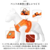 犬 ハーネス pkbl885 | BACKYARD FAMILY | 詳細画像8 