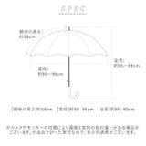 because ビコーズ 長傘 | BACKYARD FAMILY | 詳細画像11