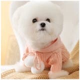 ペットウェア 猫 犬 フード付き おしゃれ 秋冬 yspf5286 | BACKYARD FAMILY | 詳細画像3 