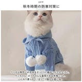 ペットウェア 猫 犬 フード付き おしゃれ 秋冬 yspf5286 | BACKYARD FAMILY | 詳細画像4 