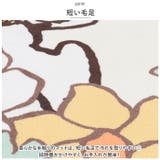 キャラクター ロングマット 45×120cm | BACKYARD FAMILY | 詳細画像5 