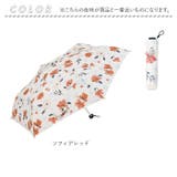 NEW STANDARD MINI 55cm | BACKYARD FAMILY | 詳細画像12