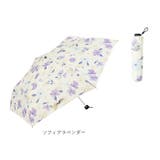 NEW STANDARD MINI 55cm | BACKYARD FAMILY | 詳細画像13