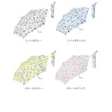 NEW STANDARD MINI 55cm | BACKYARD FAMILY | 詳細画像17