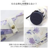 NEW STANDARD MINI 55cm | BACKYARD FAMILY | 詳細画像10