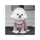ペット 術後服 かわいい 春秋冬 yspf5287 | BACKYARD FAMILY | 詳細画像14