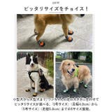 犬靴 nadogs4200 | BACKYARD FAMILY | 詳細画像10