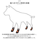 犬靴 nadogs4801 | BACKYARD FAMILY | 詳細画像3