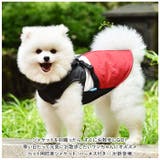 ペット用 防寒 ジャケット ハーネス 春秋冬 yspetsoo5292 | BACKYARD FAMILY | 詳細画像2