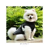 ペット用 防寒 ジャケット ハーネス 春秋冬 yspetsoo5292 | BACKYARD FAMILY | 詳細画像16