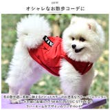 ペット用 防寒 フード付き ジャケット 春秋冬 yspetsoo5299 | BACKYARD FAMILY | 詳細画像15