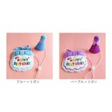 ペット用 アクセサリー 誕生日 kpet15 | BACKYARD FAMILY | 詳細画像12 