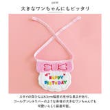ペット用 アクセサリー 誕生日 kpet15 | BACKYARD FAMILY | 詳細画像4 
