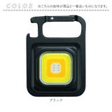 クロスフィールド カラビナライト | BACKYARD FAMILY | 詳細画像12 