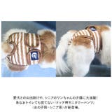 マナーパンツ 犬 ペット サニタリーパンツ lspt0266 | BACKYARD FAMILY | 詳細画像2 