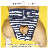 マナーパンツ 犬 ペット サニタリーパンツ lspt0266 | BACKYARD FAMILY | 詳細画像6 