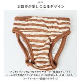 マナーパンツ 犬 ペット サニタリーパンツ lspt0266 | BACKYARD FAMILY | 詳細画像9 