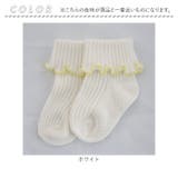 【Aenak】メロウリブ靴下[935002] | BACKYARD FAMILY | 詳細画像6 