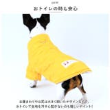 ペットウェア 犬服 秋 冬 暖かい かわいい xqcw024 | BACKYARD FAMILY | 詳細画像6 