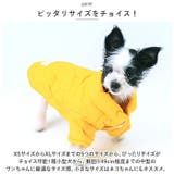 ペットウェア 犬服 秋 冬 暖かい かわいい xqcw024 | BACKYARD FAMILY | 詳細画像8 